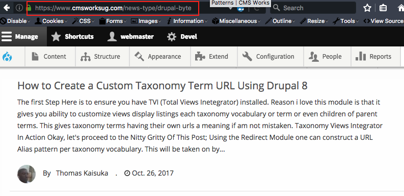 Taxonomy-Term-Link-IN-URL